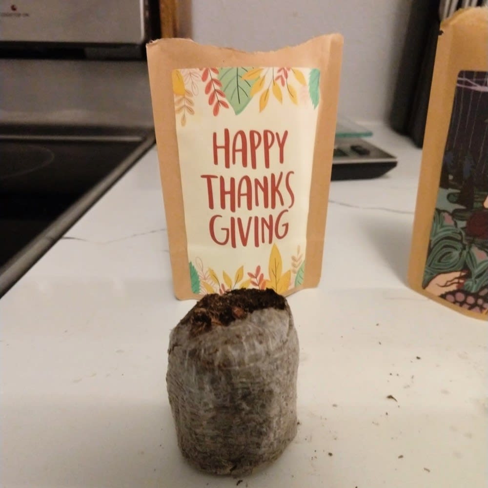 Happy Thanksgiving Greeting