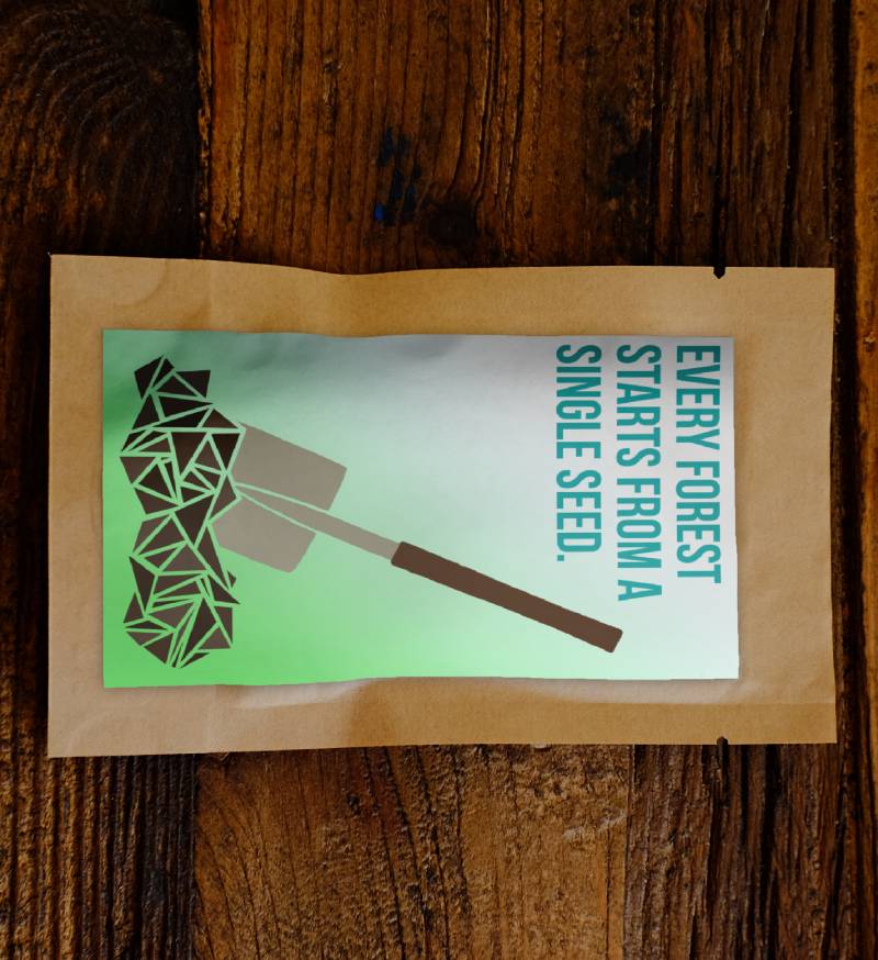 Every Forest Starts From a Single Seed - Plants 25 Trees