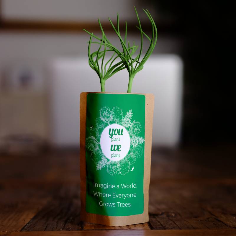 Pack of 50 Tree Kit Pouches, We Plant 500 More Trees
