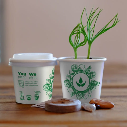 Pack of 10 Tree Kit Cups, We Plant 100 More Trees
