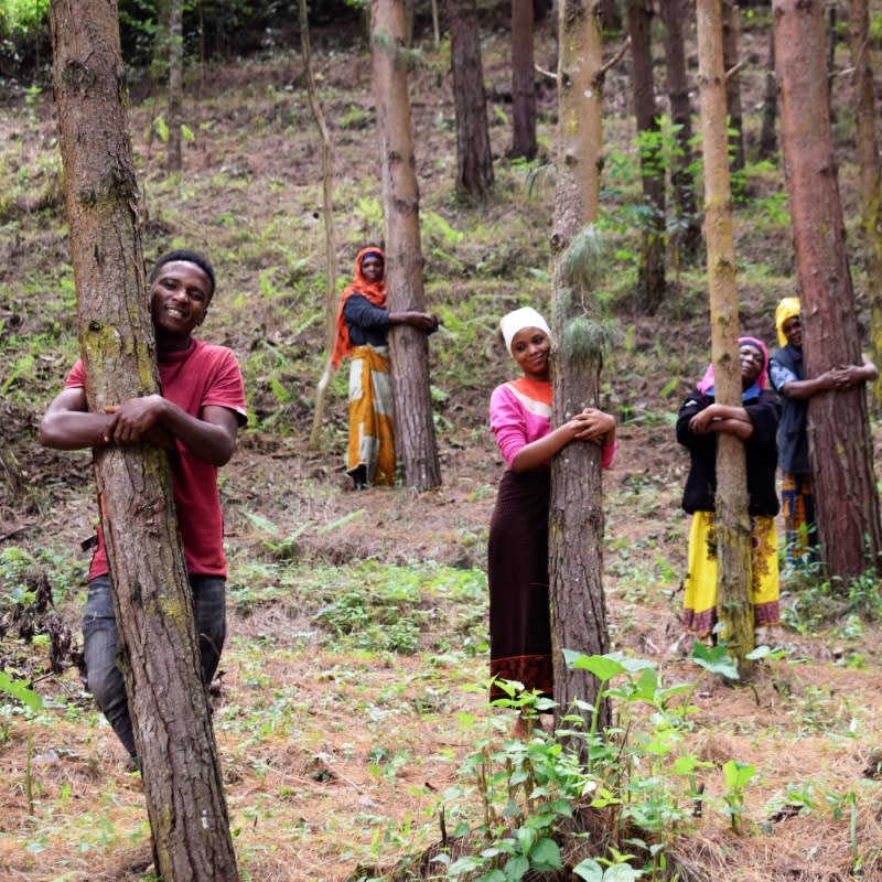 Pack of 50 Tree Kit Pouches, We Plant 500 More Trees