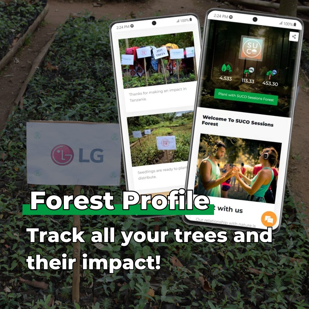 Every Forest Starts From a Single Seed - Plants 25 Trees