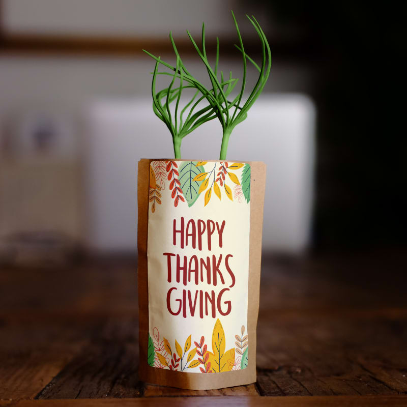 Happy Thanksgiving Greeting